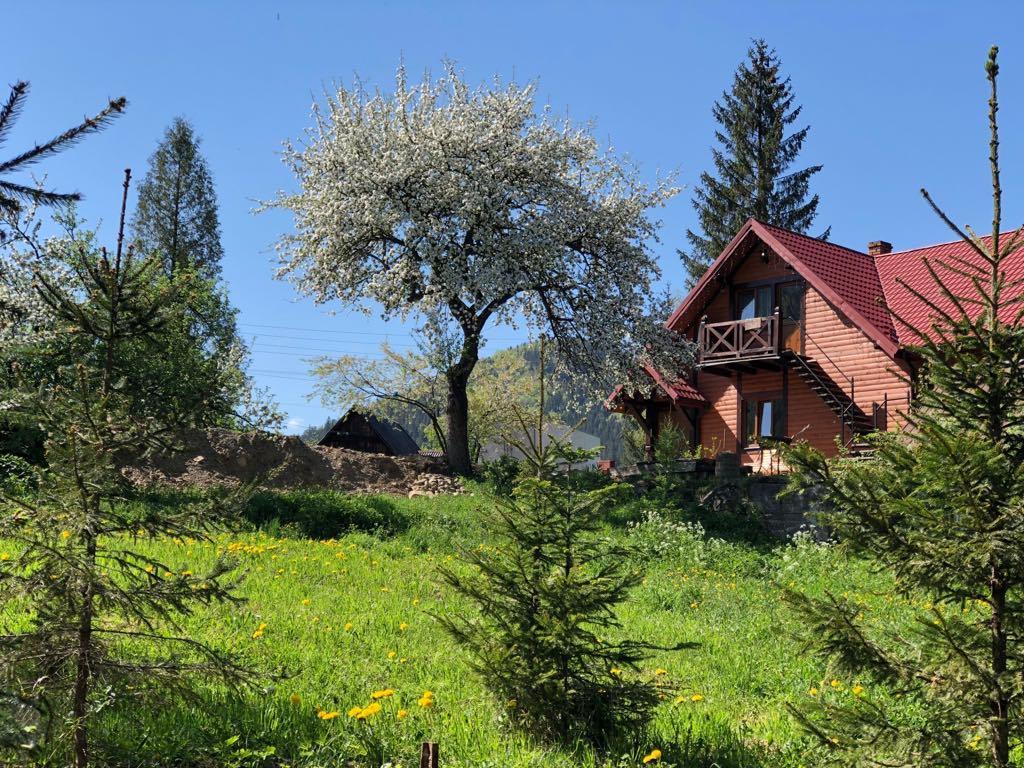 Nad Prutom Apartment Tatariv Exteriér fotografie